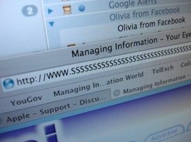 Cyber-Woodstock auf der Pferdekoppel
